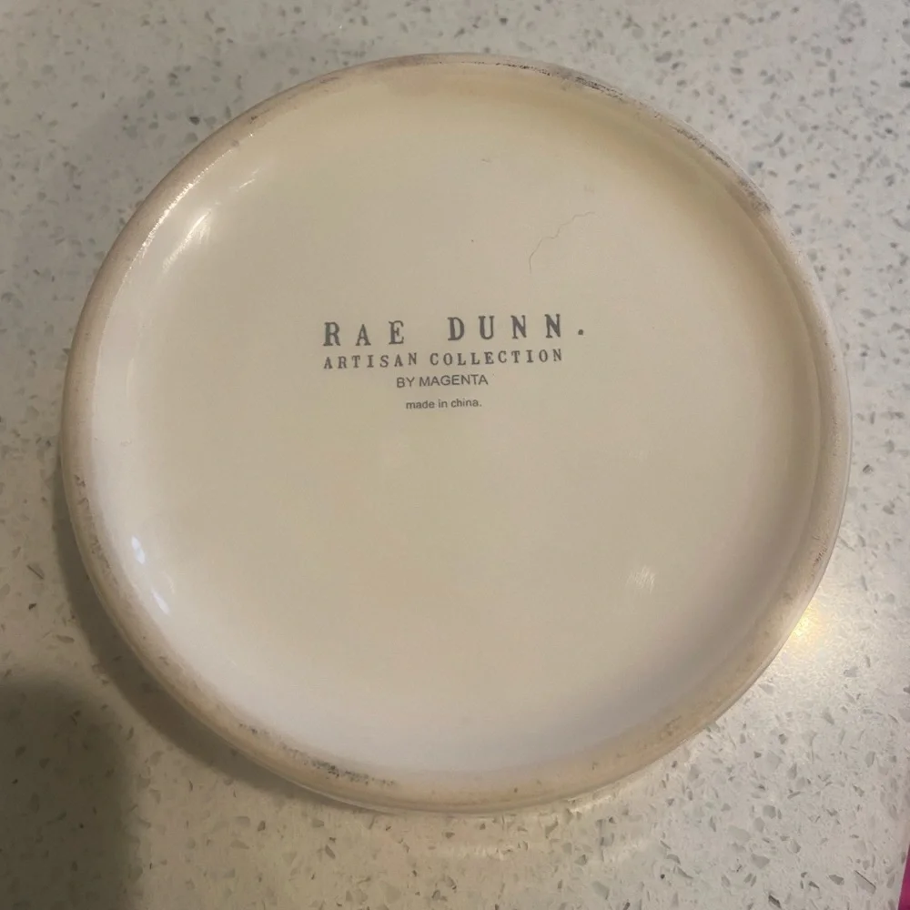 Rae Dunn “DRINK” Turquoise Pet Bowl